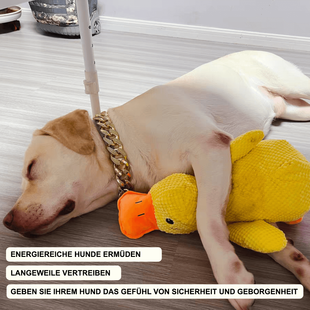Beruhigende Ente