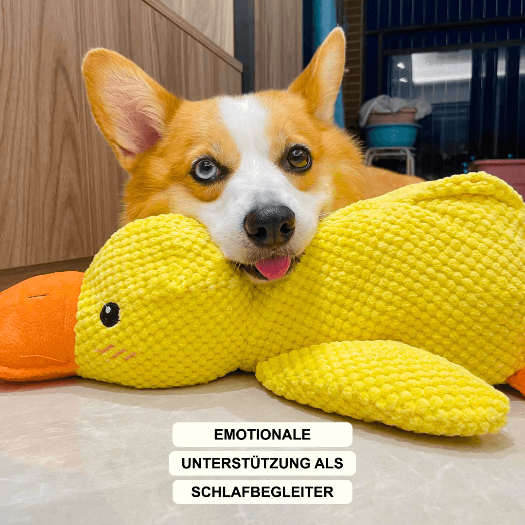 Beruhigende Ente