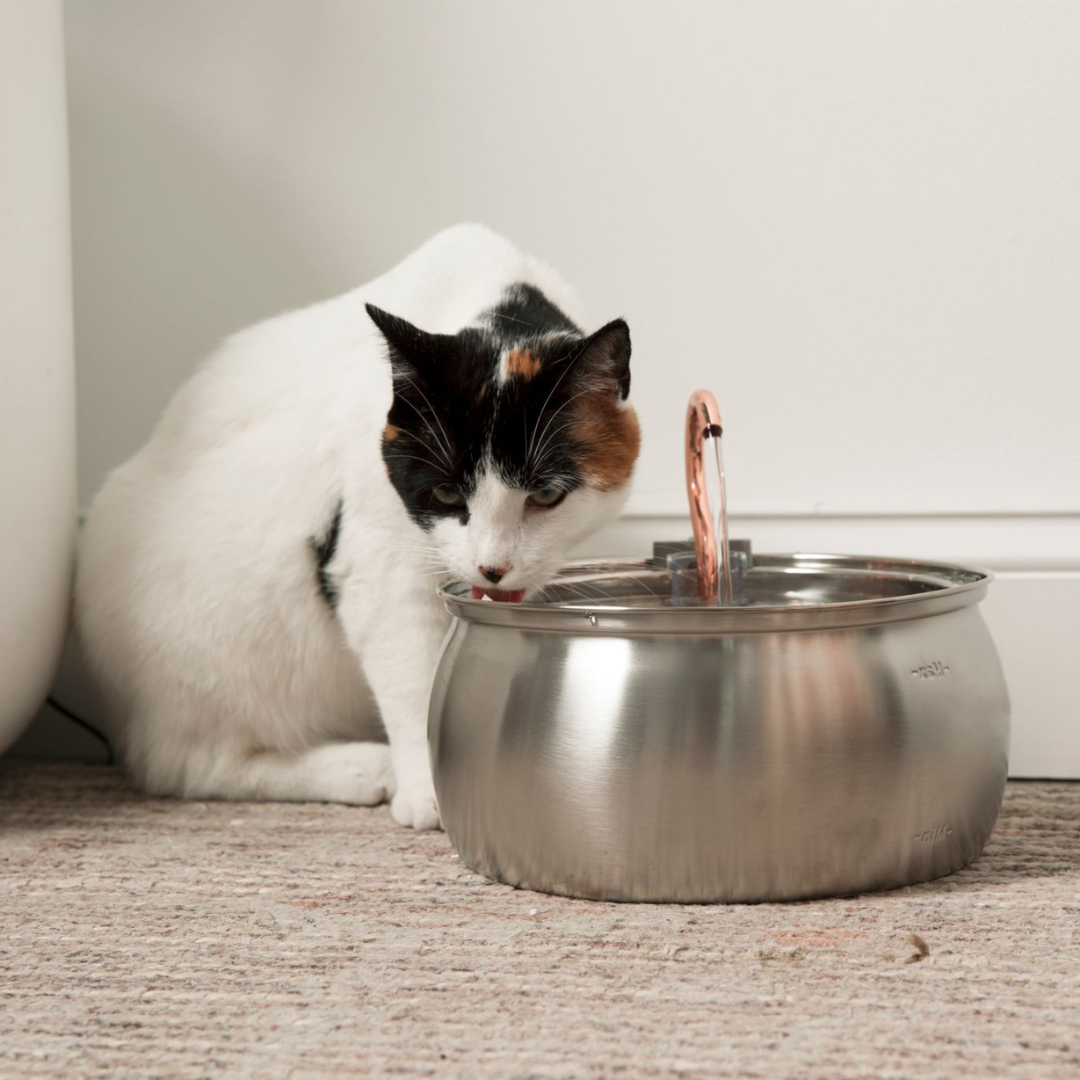 SamKitty®
