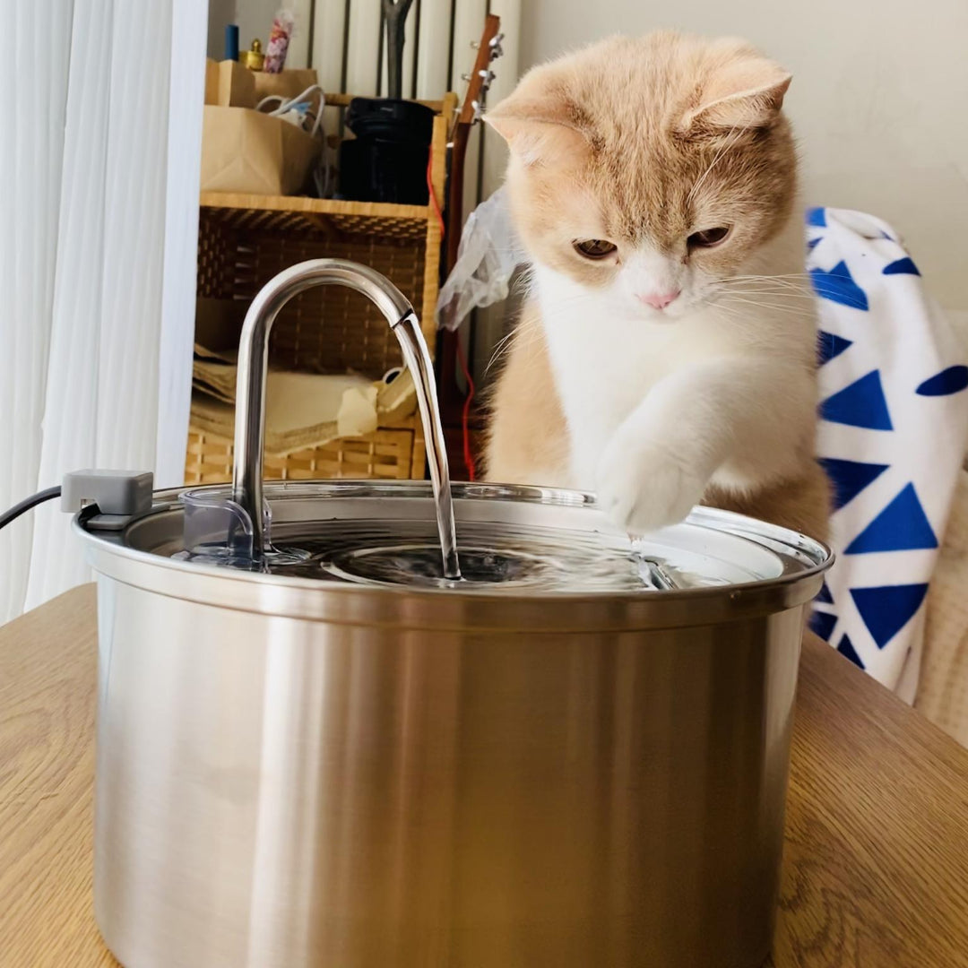SamKitty®