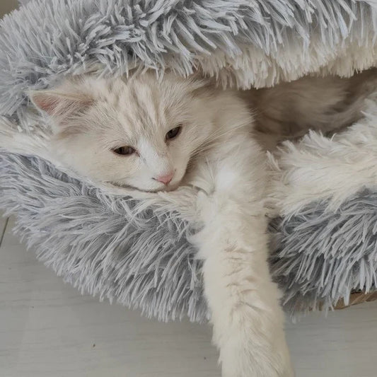 CalmyCat®