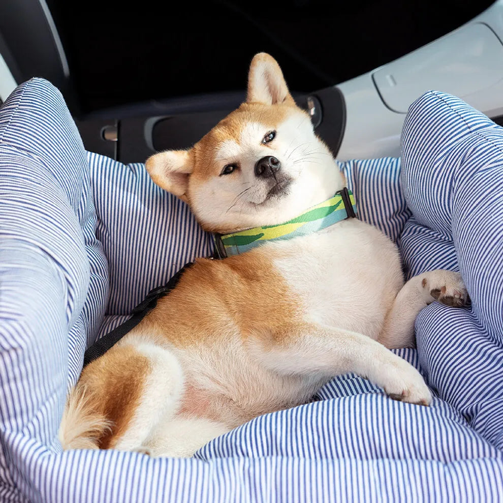 ConforDog®