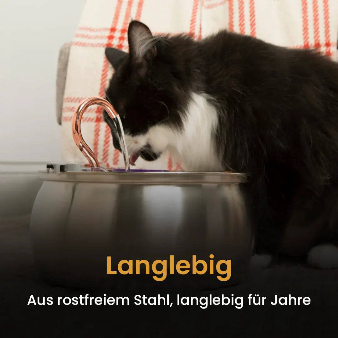 SamKitty®