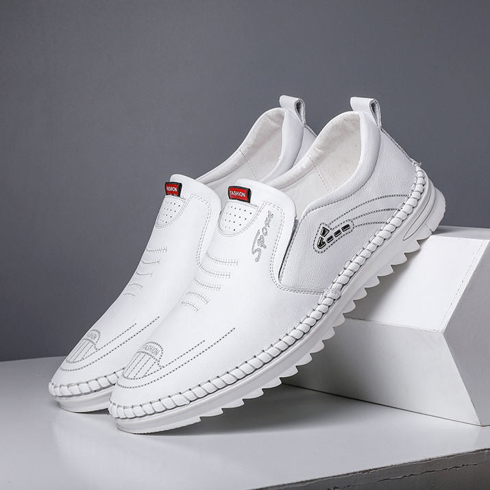 WalkSedy®